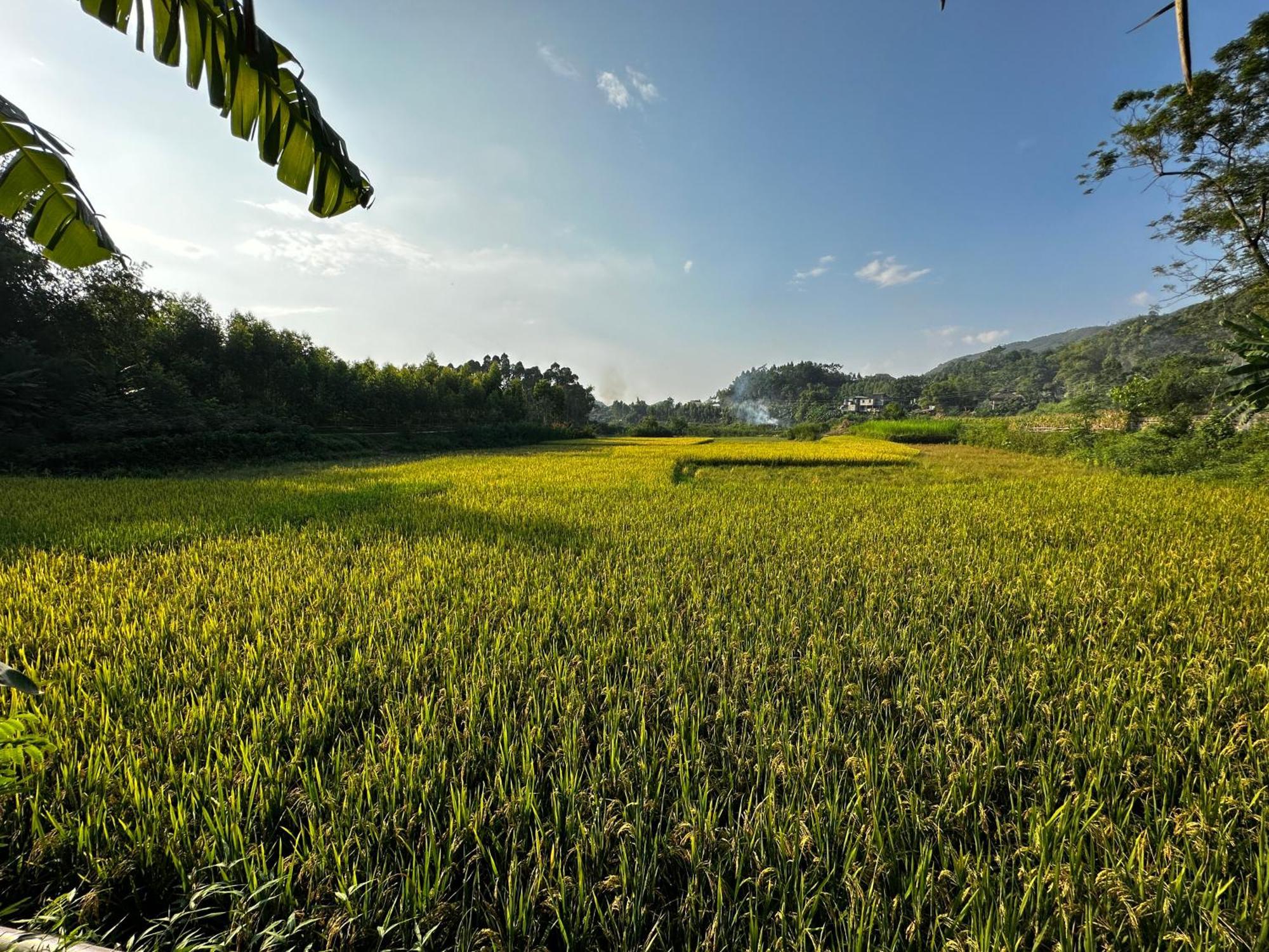 Vulinh Family -Homestay Yen Binh Buitenkant foto