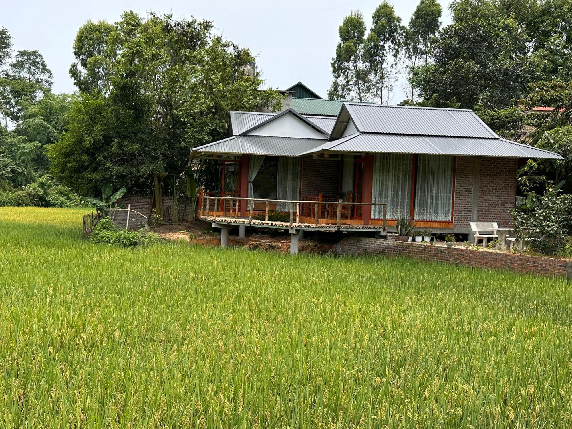 Vulinh Family -Homestay Yen Binh Buitenkant foto