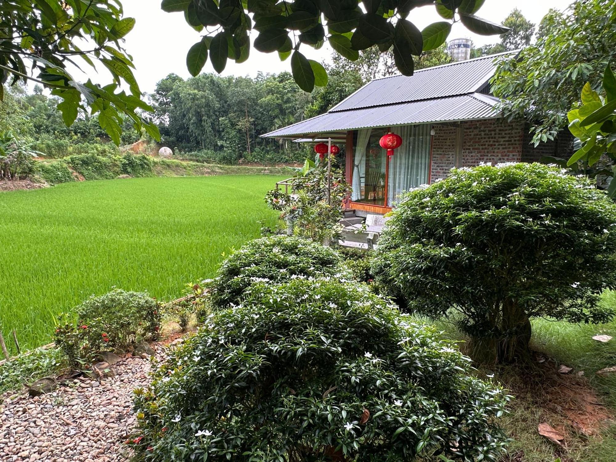 Vulinh Family -Homestay Yen Binh Buitenkant foto