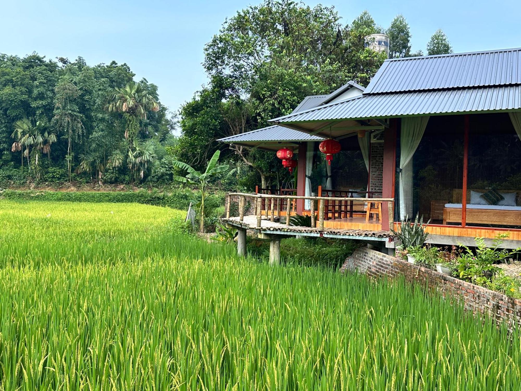 Vulinh Family -Homestay Yen Binh Buitenkant foto
